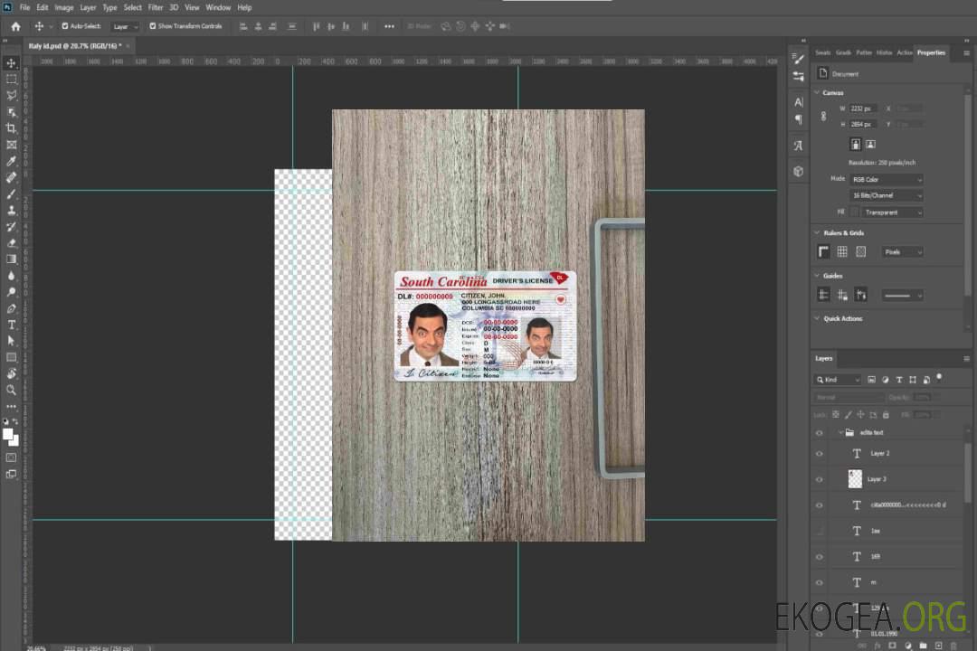 USA Caroline du Sud DL photolook AVANT template USA Caroline du Sud DL photolook AVANT template